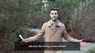 BC Property Tax Assessments Explained