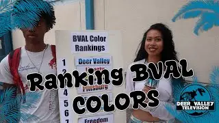 Рейтинг цветов школ BVAL!