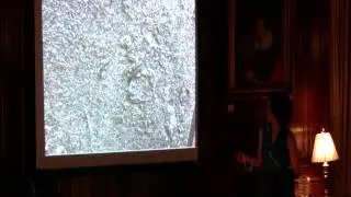 NYSL: Александра Горовиц, &laquo;О взгляде: одиннадцать прогулок глазами эксперта&raquo;