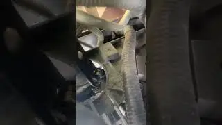 Taking off and on radiator hose clamps w inexpensive clamp locking pliers. #nissanmurano #radiator