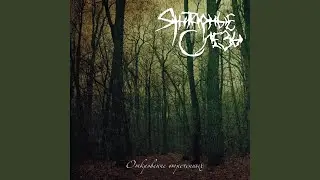 Снег | Snow