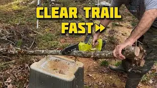 Clearing Trails Fast with Ryobi Pruning Chainsaw 🌲 Sulligent, AL #shorts