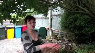 Interview with Queenstown Motel Apartments