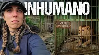El ZOO que CERR&Oacute; con ANIMALES DENTRO en Espa&ntilde;a