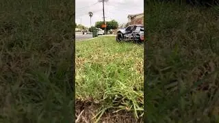 Grass Cutting #rcshortcourse #rccar #backyardrc #rc #teamassociated #pro2sc10