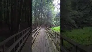 POV walk at Grant's Woods Nature Reserve, Orillia | Couchiching Conservancy | Ontario Hiking Trails