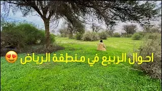 كشتة و جولة على بعض فياض فرصة في الاجازة 😉
