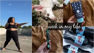 Retail and Puppy Therapy | Setting up my Bellicon | Edyn Weekly Vlog
