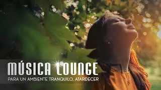 Ambient Lounge Sunset 🎶 Música Lounge ➜ #contraseñarecords