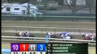 2013 Gotham Stakes - Vyjack