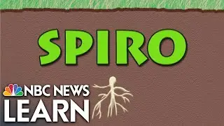 Word Roots: Spiro
