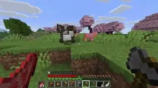 reattempting hardcore MC
