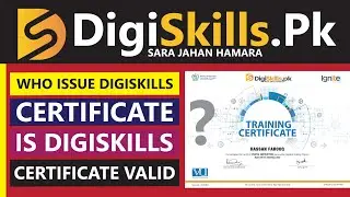 digiskills certificate criteria - digiskills certificate - digiskills certificate Percentage