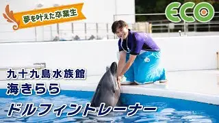 【ドルフィントレーナー】九十九島水族館海きらら【夢を叶えた卒業生】