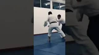 Aikido, Sansuikai Kote Gaeshi #kotegaeshi #aikido #aikikai #kampfsport #martialarts #deutschland