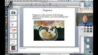 Fertilization