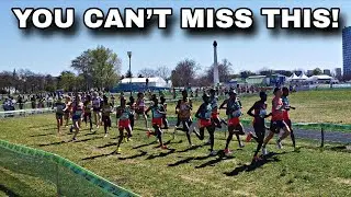 World Cross Country Championships 2026