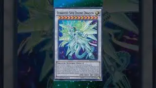 The Best Blue-Eyes Cards You'll Need #yugioh #yugiohcards #yugiohtcg