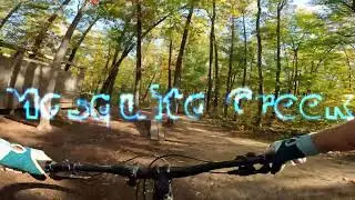 Mosquito Creek, Grand Rapids, Michigan   MTB