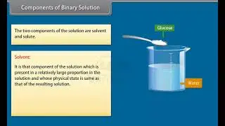 Ch 2 - Solutions | Components of Binary Solution