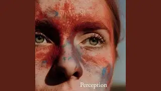 Perception Mystery