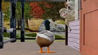 Animation shorts: Margo and Bun (Duck) | Animated short film