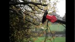 Excavator saw head  'Protech Power Blade'