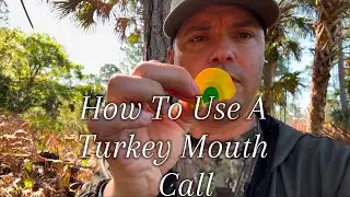 How To Yelp On A Turkey Mouth Call #turkey #hunting
