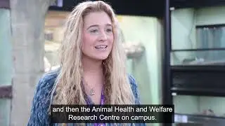 Zookeeper and Aquarist Apprenticeship at Sparsholt College | Shelby Brereton