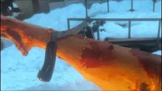GLACIER SHARK  is live! Fur trapping fur prep
