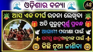 Floods In Odisha Odia Essay | Odisha Ra Banya | Odia Long Essay | Essay On Floods | Odia Rachana |