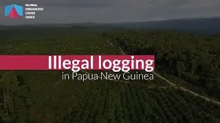 Papua New Guinea & illegal logging | The Index Podcast