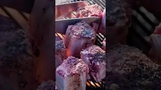 Roo Tail Stew on the Fire