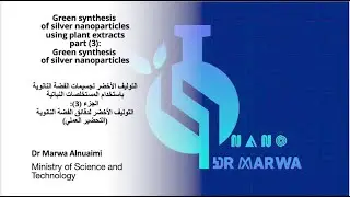 كيف تحضر لتر من دقائق الفضة النانويه من مستخلص نباتي مجانا