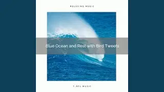 Perfect Waves and Feel the Power with Bird Tweets