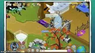 Animal Jam Fans