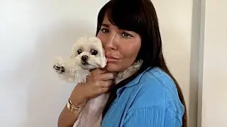 hrh collection: ming wants to say hi (stan twitter)