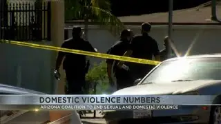 Domestic violence numbers in Arizona