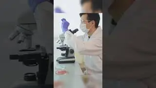 Zombie virus found in Siberia, Russia after 48500 years #news