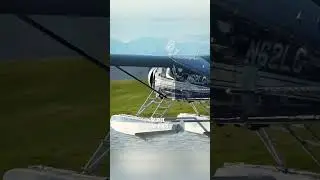 Beaver landing at Lake Hood
