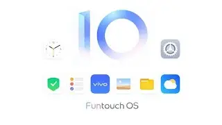 Vivo v11pro after android10 update.