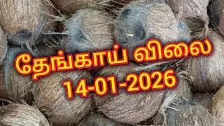 இன்றைய சந்தை விலை தெரியுமா? 🤔 தேங்காய் ரேட் முழு அப்டேட் இங்கே #modakurichi #farmers