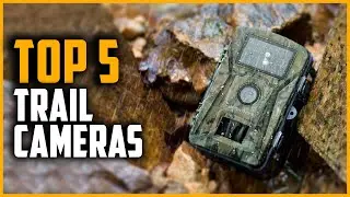 Best Trail Cameras 2024 | Top 5 Best Hunting Trail Cameras On Amazon