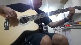 Dean EAB 5 string acoustic bass test