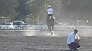 VDHMA-Shire Draft-Pole Bending Competition, 2009 Old Dominion Draft Horse Show