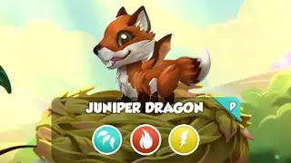 Dragon Mania Legends Juniper Dragon Hatching (Android account)