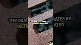Unlock the Secret to a Perfect Septic Drain Field!