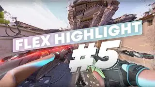 Flex - Highlight #5