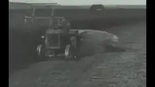 SKhTZ 15/30 tractor. A hemp harvest. Mordovia, Soviet Russia. (c.1940s).