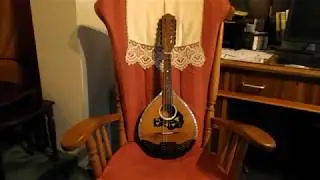Italian 12-string mandolin (mandriola) by B. Garozzo sound sample